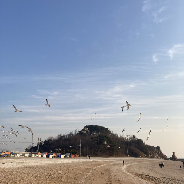 🎠 인천 선녀바위 해수욕장