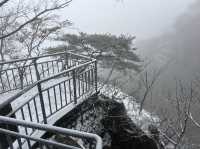 難得一遇的大芚山雪景💛