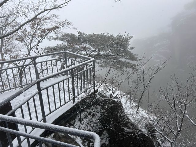 難得一遇的大芚山雪景💛