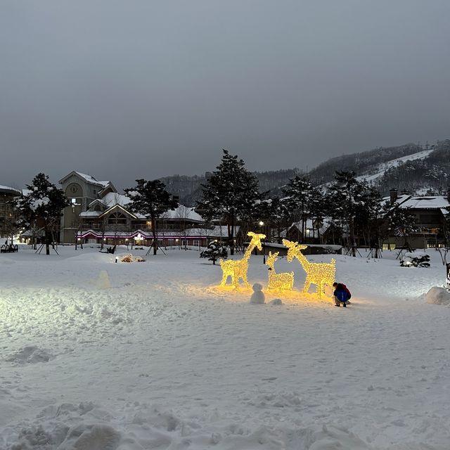 눈꽃 휘날리는 호캉스, 알펜시아 리조트❄️