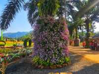 สวนดอกไม้  จ.กระบี่
