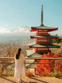 東京近郊 | 富士山