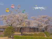 จุดชมวิว Amanohashidate View Land
