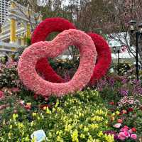 Hong Kong Flower Show  brings joy to town 