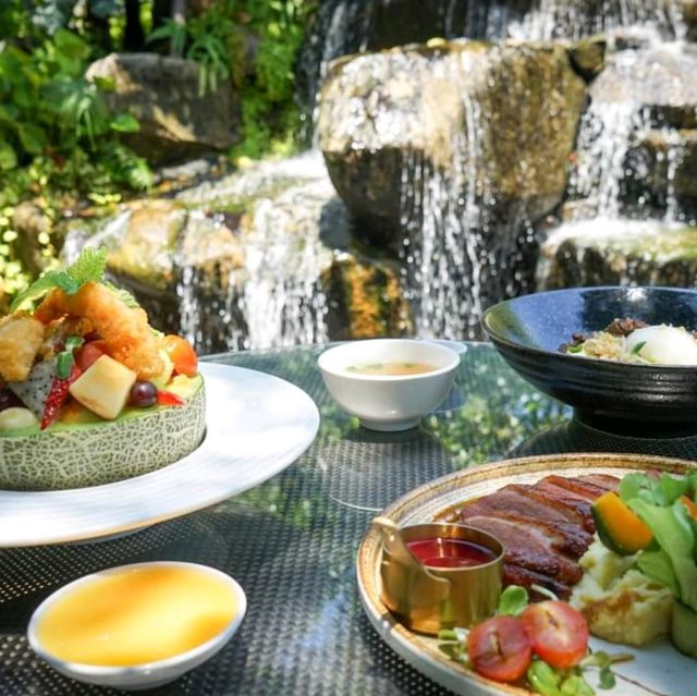 พามาคาเฟ่ วิวน้ำตก