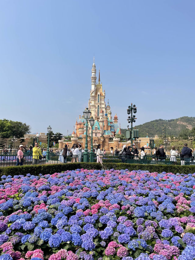 รีวิว Hong Kong Disneyland ฉบับตามเก็บเครื่องเล่น!