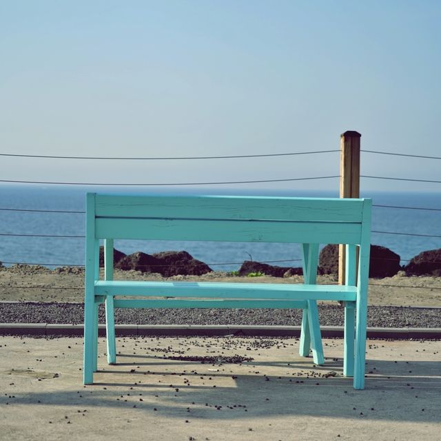 ☕️ 바람벽에흰당나귀 카페, 제주의 엔틱한 매력 속으로