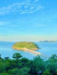 【絶景】島全体が天然記念物！パワースポットの竹島🏝