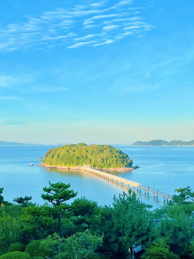 【絶景】島全体が天然記念物！パワースポットの竹島🏝