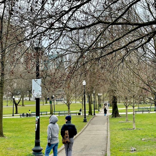 Public garden Boston  