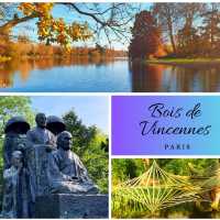 Exploring the SEA of Bois de Vincennes