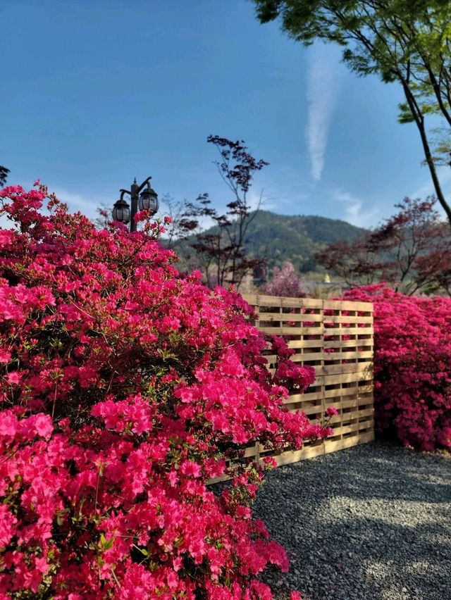 4월 전남에서 가장 핫한 봄여행코스🌸
