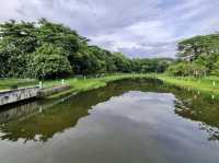 Serene and Peaceful Park