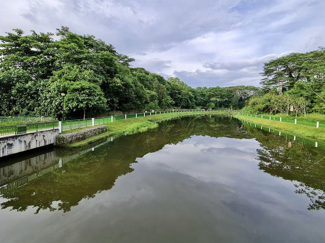 Serene and Peaceful Park