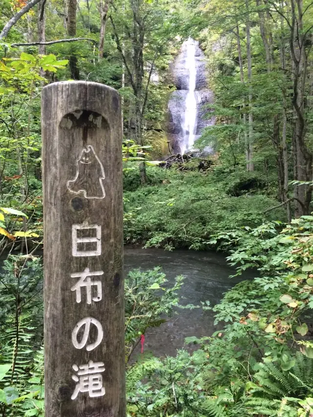 【幻想的な世界ひろがる★】奥入瀬渓流