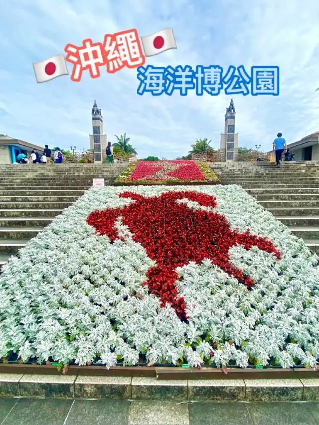 【沖繩海洋博公園】🌳讓遊客瞬間進入綠色世界🌿