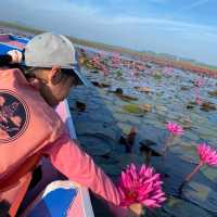 Enjoy nature at Thale Noi Waterbird Park🛶