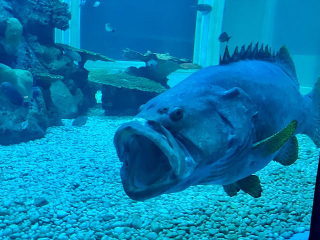Waghor Aquarium