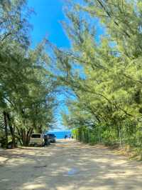 Cabbage Beach