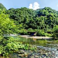 咖啡山森林保護公園：原生態環境、豐富生物、戶外活動，親近大自然