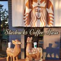 Starbucks Coffee สาขา Nara Park
