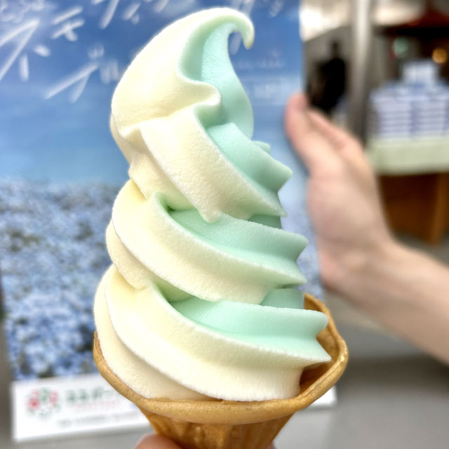【ネモフィラ】大分県杵築市るるパーク