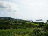 【沖繩】八重瀨町：山、農田、海，日韓春天好去處