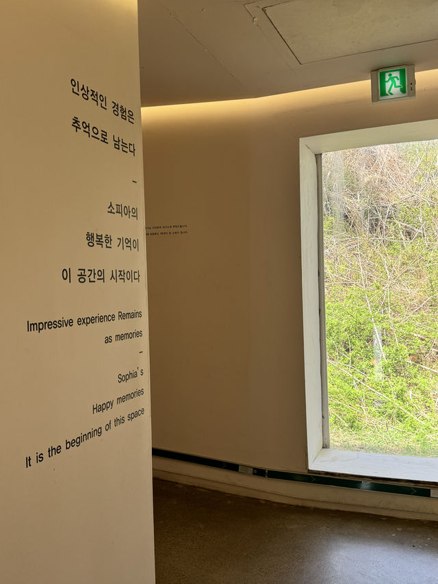 전면 오션뷰의 역대급 카페🩵
