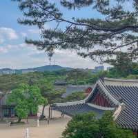 서울의 봄을 만끽하기에 안성맞춤인 경희궁 