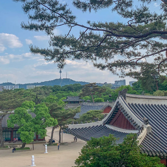 서울의 봄을 만끽하기에 안성맞춤인 경희궁 