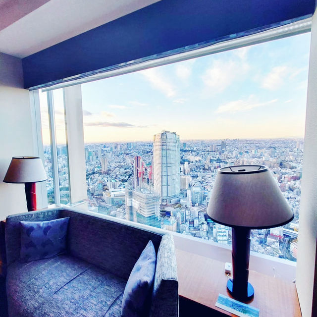 Experienced luxury stay in Ritz Carlton Tokyo