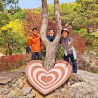 HWADAM BOTANIC GARDEN 관중