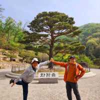 HWADAM BOTANIC GARDEN 관중