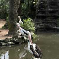 吉隆坡飛禽公園：熱帶鳥語花香，適合感受大自然生命力的理想場所