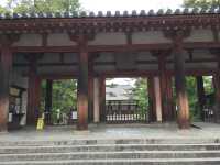 唐招提寺：感受奈良之靈古老寺廟的神秘魅力