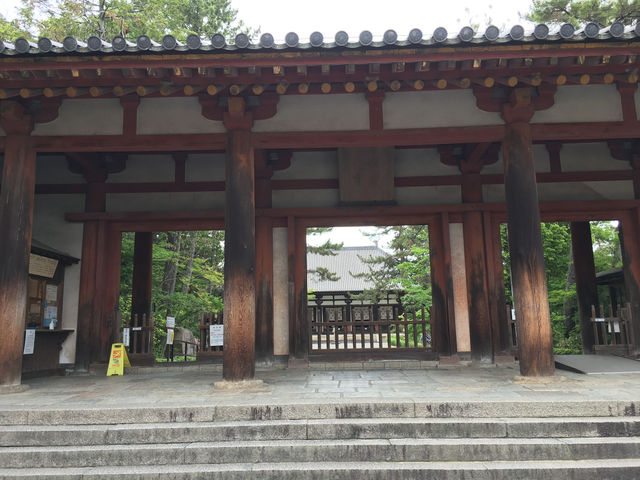 唐招提寺：感受奈良之靈古老寺廟的神秘魅力