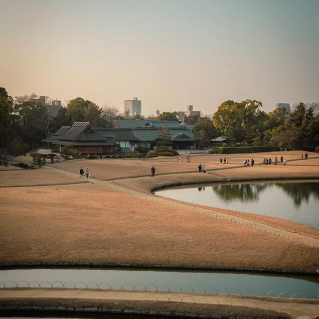 福岡大濠公園～春日盎然的綠洲