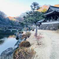 【広島】美しすぎる庭園ミュージアム