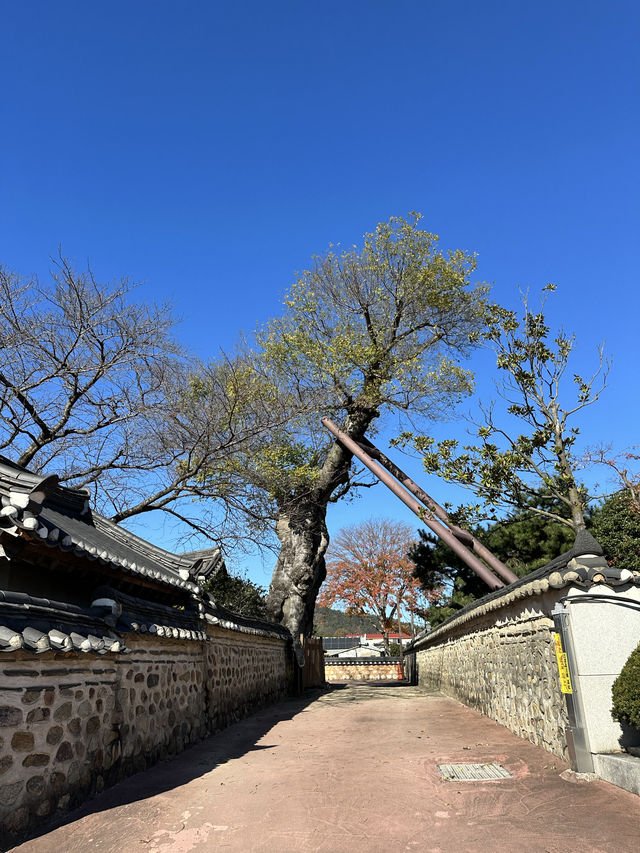 【韓国】韓屋ステイもできる観光地！？