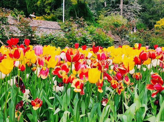 Araluen Botanic Park