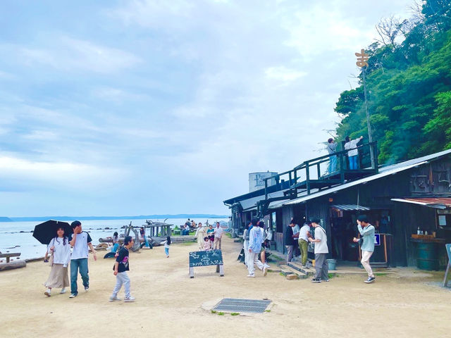 【糸島】福岡でトトロの森探検&絶品塩プリンを食す