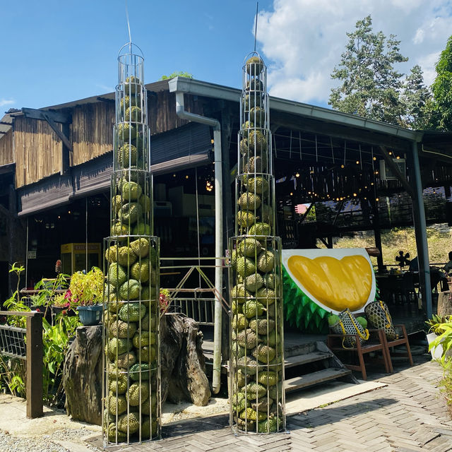🌳 Family gatherings with largest DURIAN in 🇲🇾!