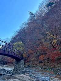 알록달록 경치가 끝내주는 등산지추천 🏞️