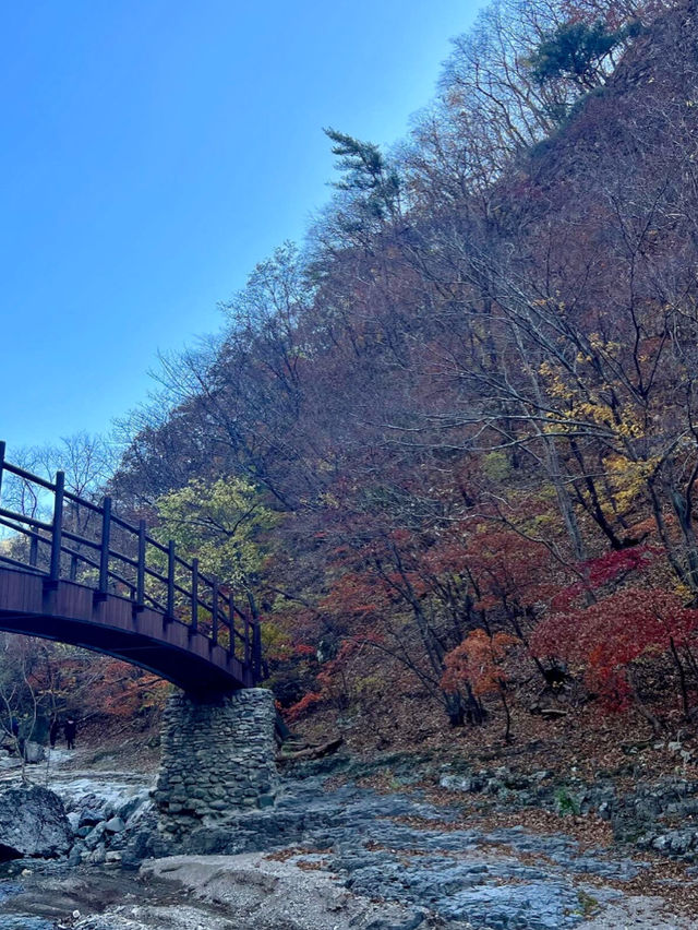 알록달록 경치가 끝내주는 등산지추천 🏞️