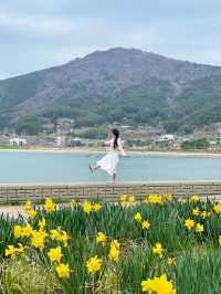 💐거제 공곶이 가신다구요? 이렇게 가지마세요🙅🏻‍♀️