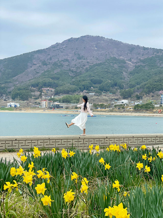 💐거제 공곶이 가신다구요? 이렇게 가지마세요🙅🏻‍♀️