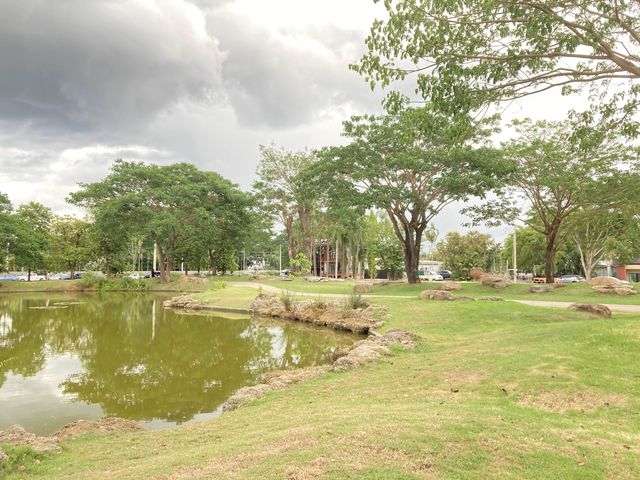 Tanawan Park สวนเดินเล่นชิล ๆ แห่งใหม่@เชียงใหม่