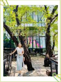 🌿 曼谷｜城市綠洲RAWR咖啡店☕️🌿