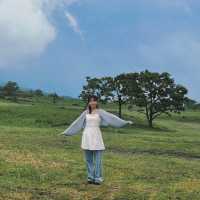 후쿠오카 근교 여행지 루트 추천 (유후인/유후다케/다자이후/벳푸)