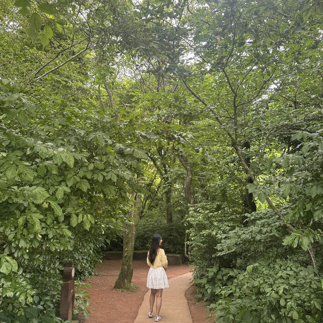 돌을 주제로 조성된 돌문화 공원 🗿